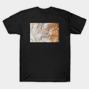 Orange Textured Erosion T-Shirt